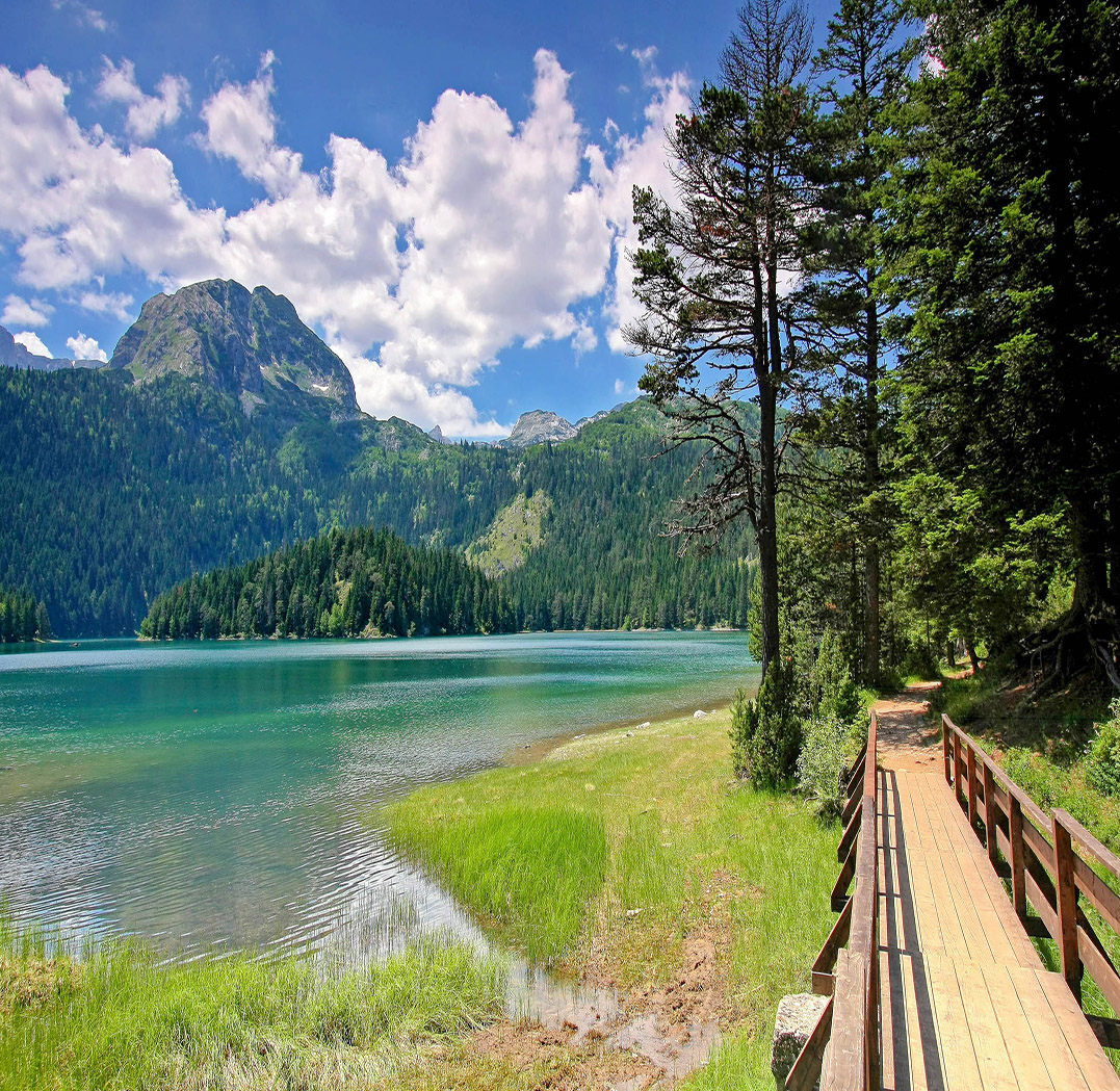 Um den gesamten See verläuft ein rund 3,6 Kilometer langer Rundweg durch die dichten Wälder am Ufer des Crno Jezero, Montenegro